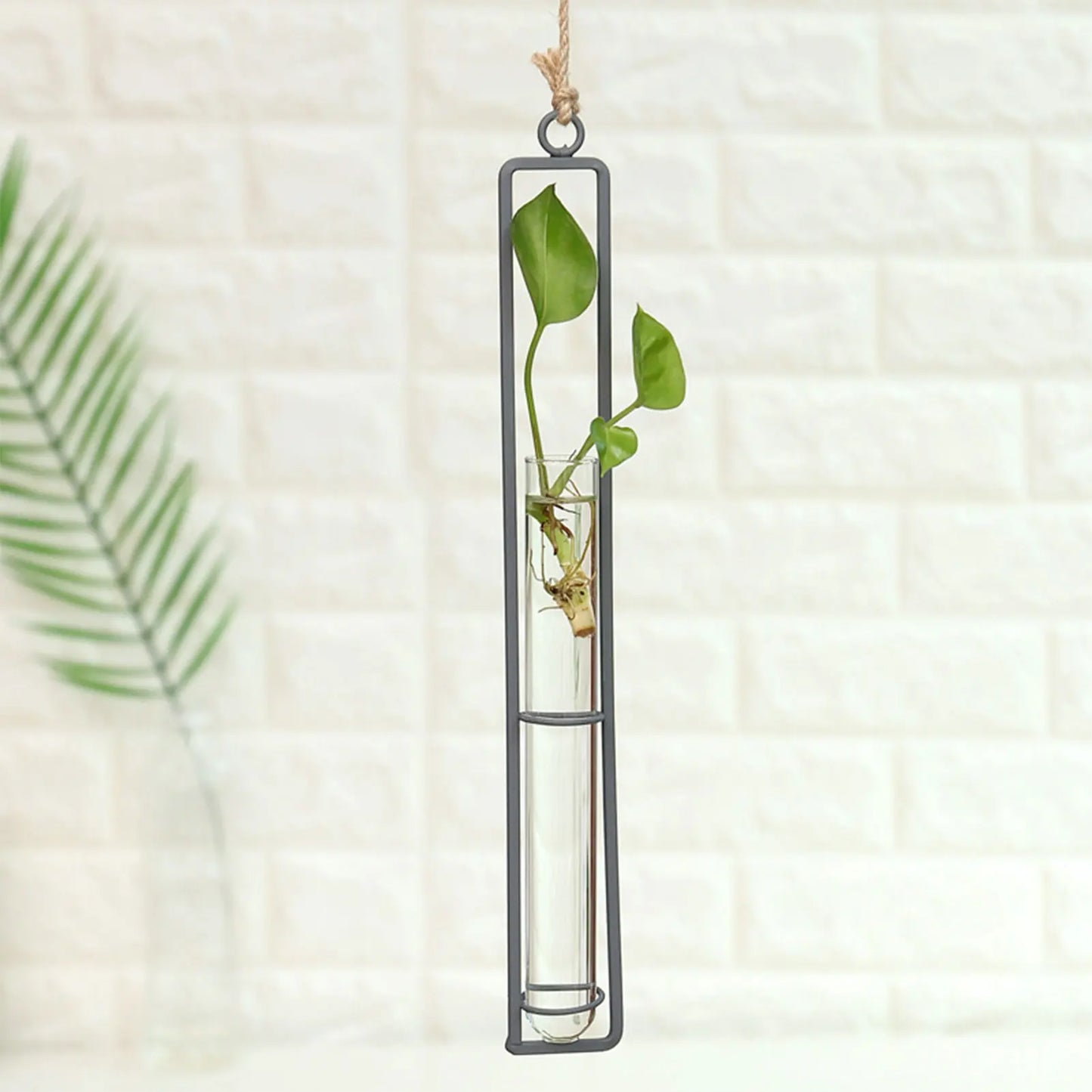 Hanging Glass Flower Pots Delicate Decorative Plant Terrarium