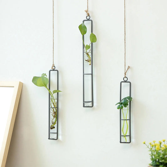 Hanging Glass Flower Pots Delicate Decorative Plant Terrarium