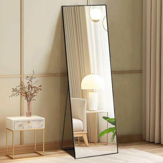 Full Body Mirror 64x21